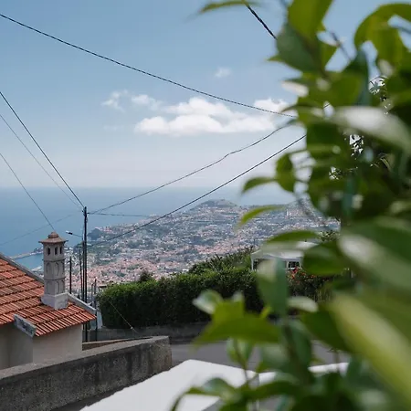 Daire Ocean Bay Panoramic View *