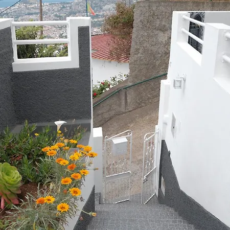 Daire Ocean Bay Panoramic View *